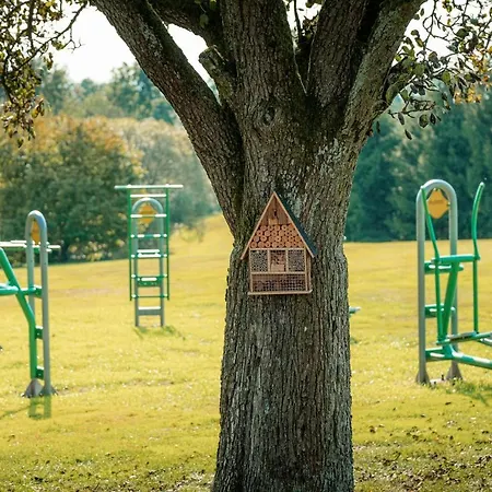 Bed & Breakfast Areal Maly Texas