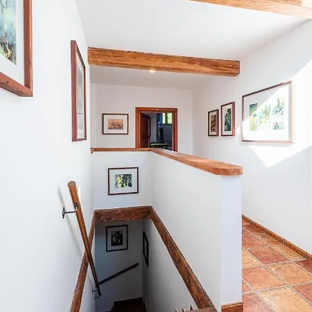 Areal Maly Texas Bed & Breakfast